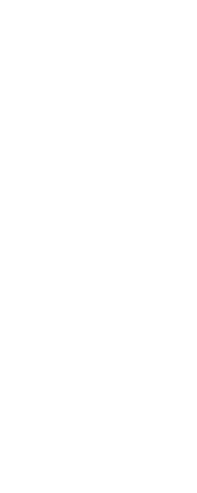 Illustration of carrots